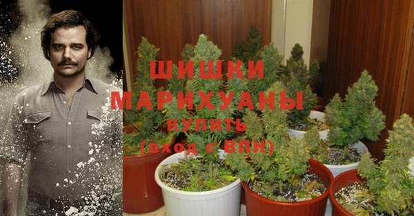 MESCALINE Ельня