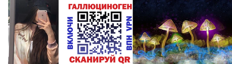 наркотики  blacksprut вход  Галлюциногенные грибы Cubensis  Емва 